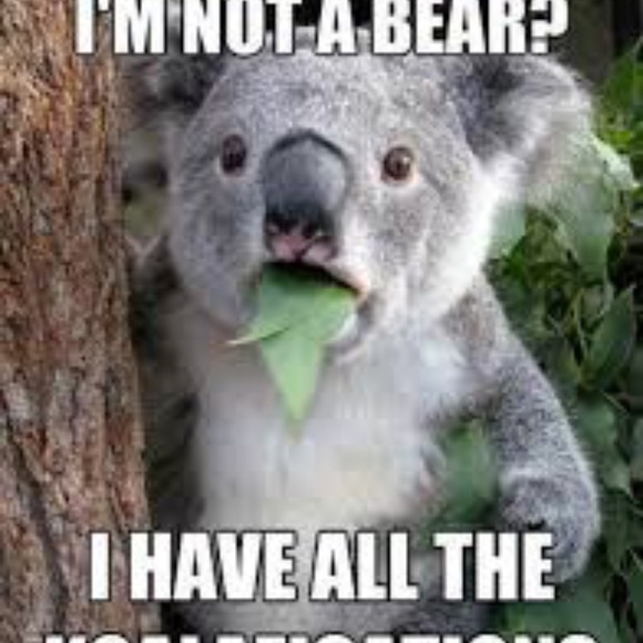 Meet your Posher, Elizabetb - Picture 1 of 1